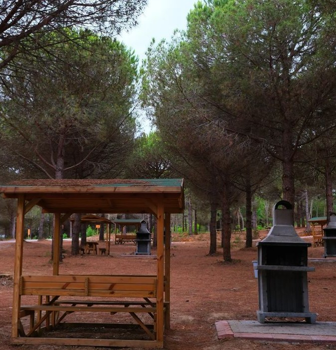 Web Sitemiz Açıldı!