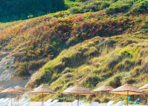 Şezlong ve Şemsiyelerimiz Hizmetinizde